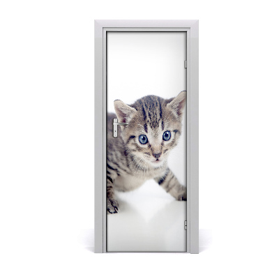 Dörrklistermärke Liten katt