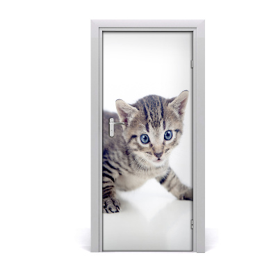 Dörrklistermärke Liten katt