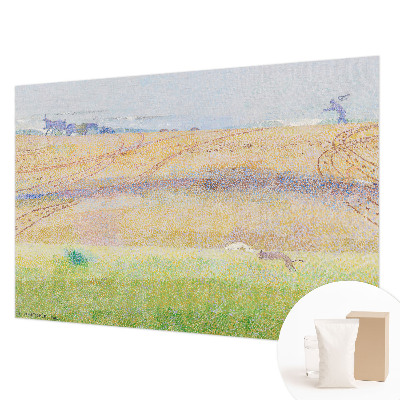 Stor fotovägg vardagsrum med motiv av sommarfält