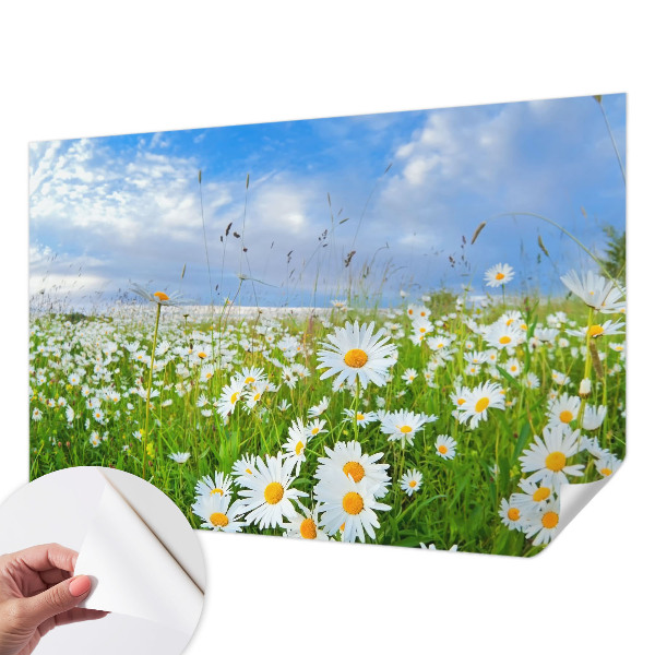 Självhäftande fotovägg med motiv av en sommaräng
