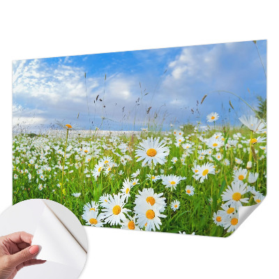 Självhäftande fotovägg med motiv av en sommaräng