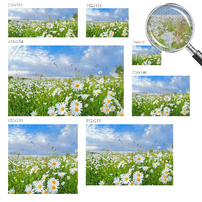 Självhäftande fotovägg med motiv av en sommaräng