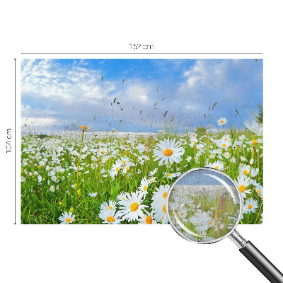 Självhäftande fotovägg med motiv av en sommaräng