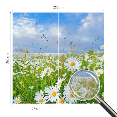Självhäftande fotovägg med motiv av en sommaräng