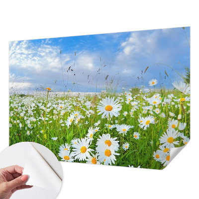 Självhäftande fotovägg med motiv av en sommaräng