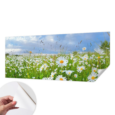 Självhäftande fotovägg med motiv av en sommaräng