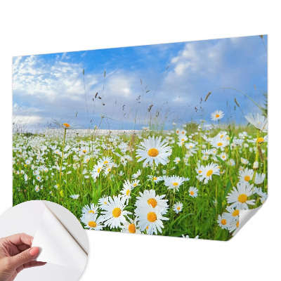 Självhäftande fotovägg med motiv av en sommaräng