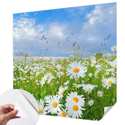 Självhäftande fotovägg med motiv av en sommaräng