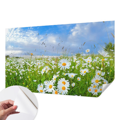 Självhäftande fotovägg med motiv av en sommaräng