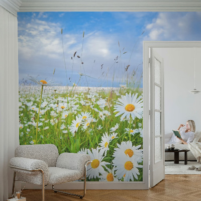 Självhäftande fotovägg med motiv av en sommaräng