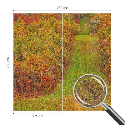 Fototapet barnrum Höstfärger