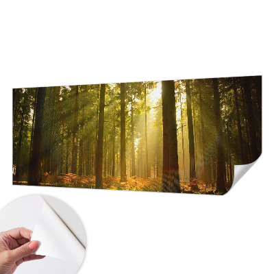 Fototapet för barn med motiv av en skogsmorgon