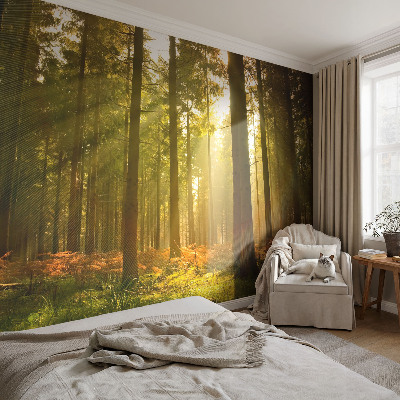 Fototapet för barn Skogsmorgon