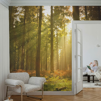 Fototapet för barn Skogsmorgon
