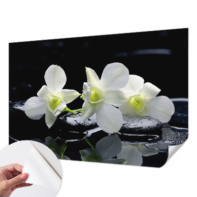 Peel and stick fototapet med motiv av blommor och stenar