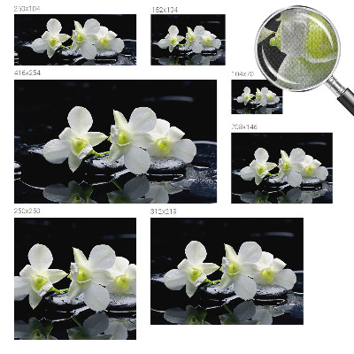 Peel and stick fototapet med motiv av blommor och stenar