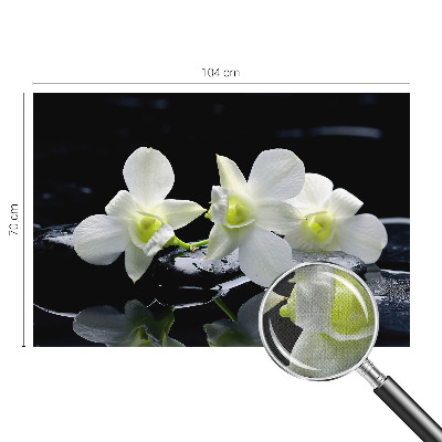 Peel and stick fototapet med motiv av blommor och stenar