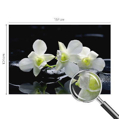 Peel and stick fototapet med motiv av blommor och stenar