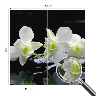 Peel and stick fototapet med motiv av blommor och stenar