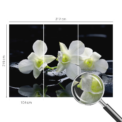 Peel and stick fototapet med motiv av blommor och stenar