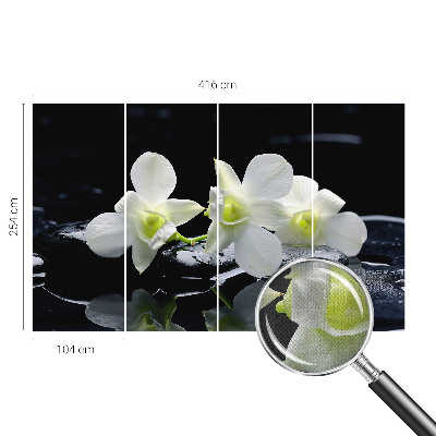 Peel and stick fototapet med motiv av blommor och stenar