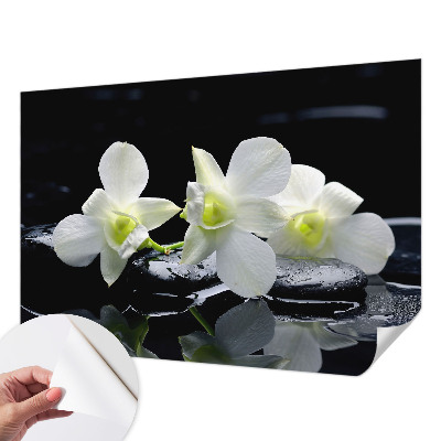 Peel and stick fototapet med motiv av blommor och stenar