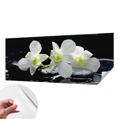 Peel and stick fototapet med motiv av blommor och stenar
