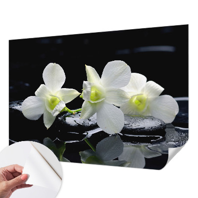 Peel and stick fototapet med motiv av blommor och stenar