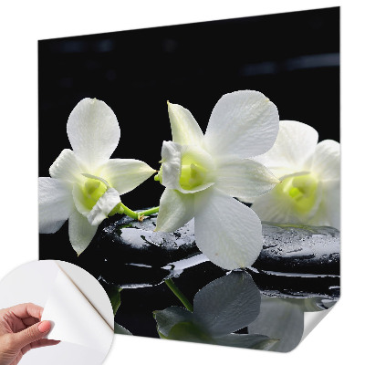 Peel and stick fototapet med motiv av blommor och stenar