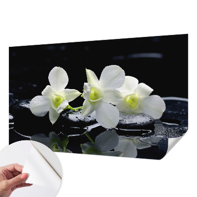 Peel and stick fototapet med motiv av blommor och stenar