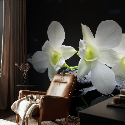 Peel and stick fototapet med motiv av blommor och stenar