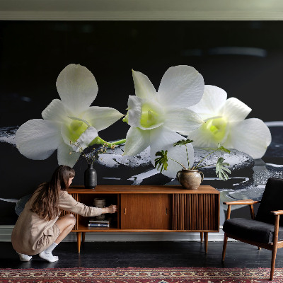 Peel and stick fototapet med motiv av blommor och stenar