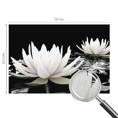 3D fototapet med motiv av vattenblommor