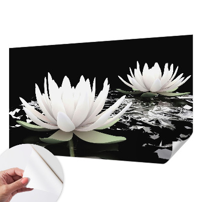 3D fototapet med motiv av vattenblommor