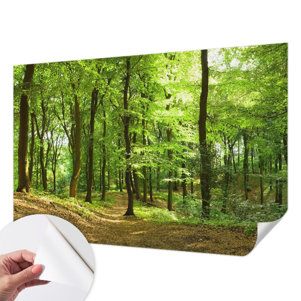 Peel and stick fototapet Naturlig stig