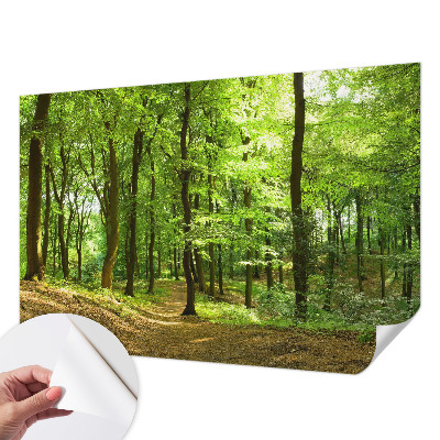 Peel and stick fototapet med motiv av en naturlig stig