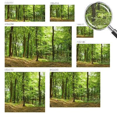 Peel and stick fototapet med motiv av en naturlig stig