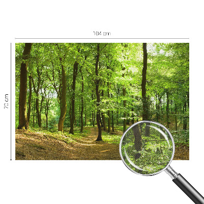 Peel and stick fototapet Naturlig stig
