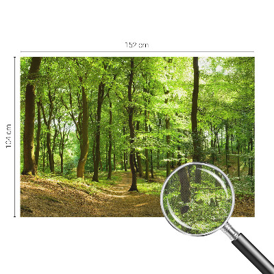 Peel and stick fototapet med motiv av en naturlig stig