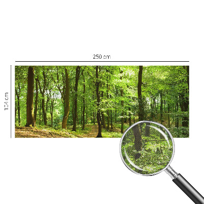 Peel and stick fototapet Naturlig stig