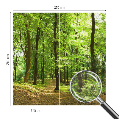 Peel and stick fototapet Naturlig stig