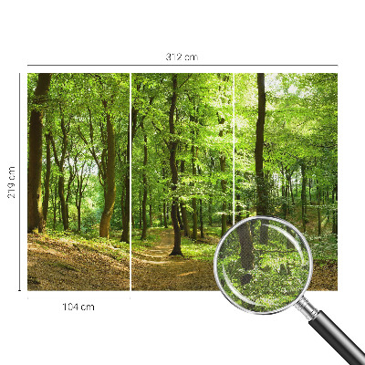 Peel and stick fototapet Naturlig stig