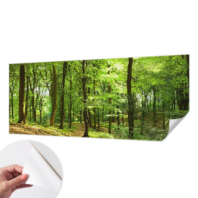 Peel and stick fototapet Naturlig stig