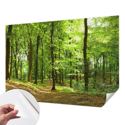 Peel and stick fototapet Naturlig stig