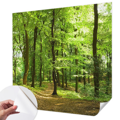 Peel and stick fototapet Naturlig stig