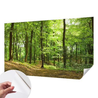 Peel and stick fototapet med motiv av en naturlig stig