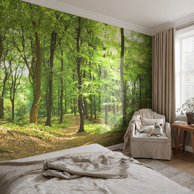 Peel and stick fototapet med motiv av en naturlig stig