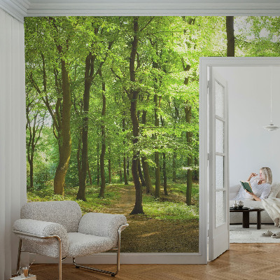 Peel and stick fototapet Naturlig stig