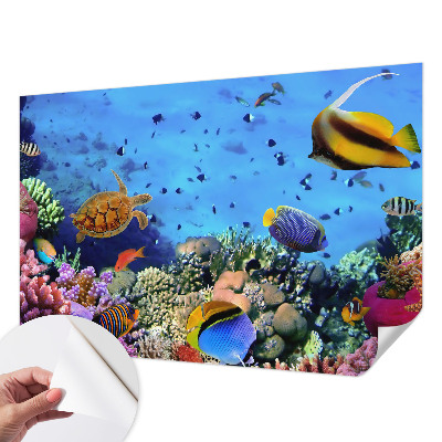 3D fototapet med motiv av ett korallrev