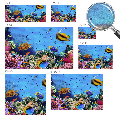 3D fototapet med motiv av ett korallrev